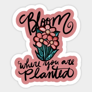 Bloom where you are planted Sticker